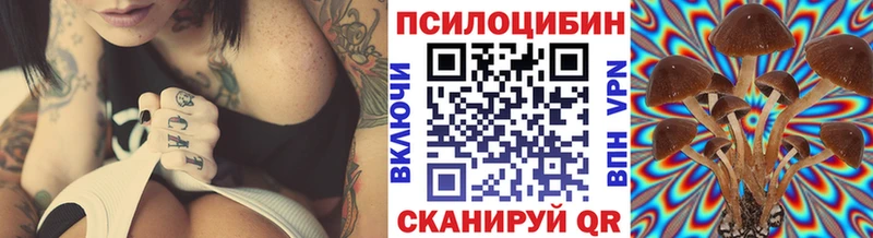 Галлюциногенные грибы Magic Shrooms  Сергач 